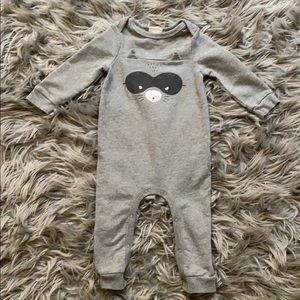 Raccoon 🦝 one piece